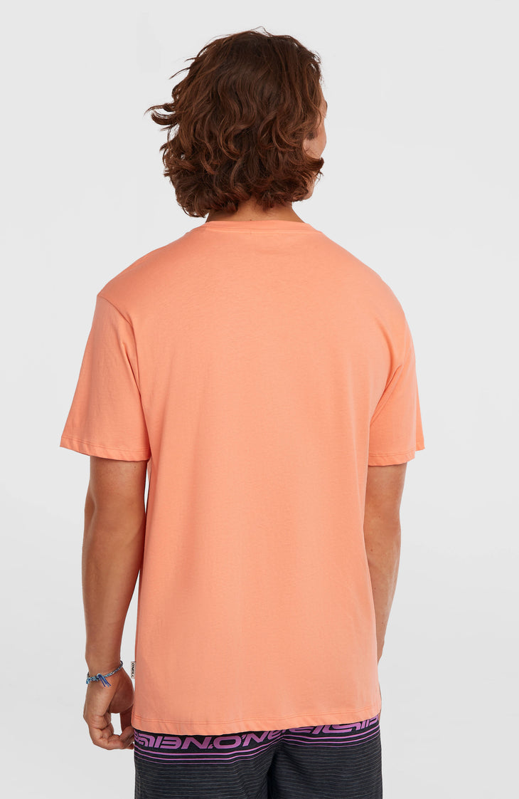 O'Neill Logo Stripe T-Shirt | Funky Peach