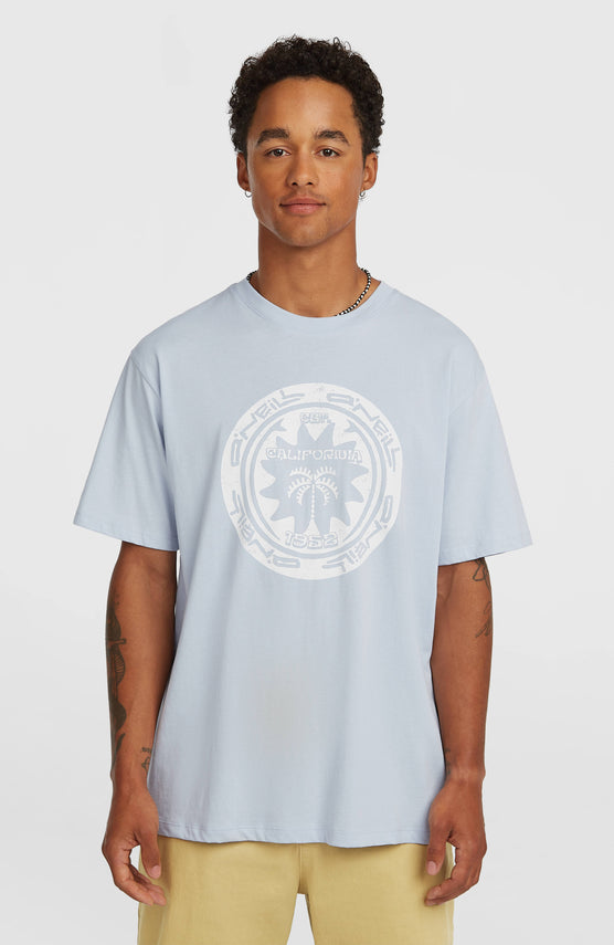O'Neill Must-Have Graphic T-Shirt | Spindle