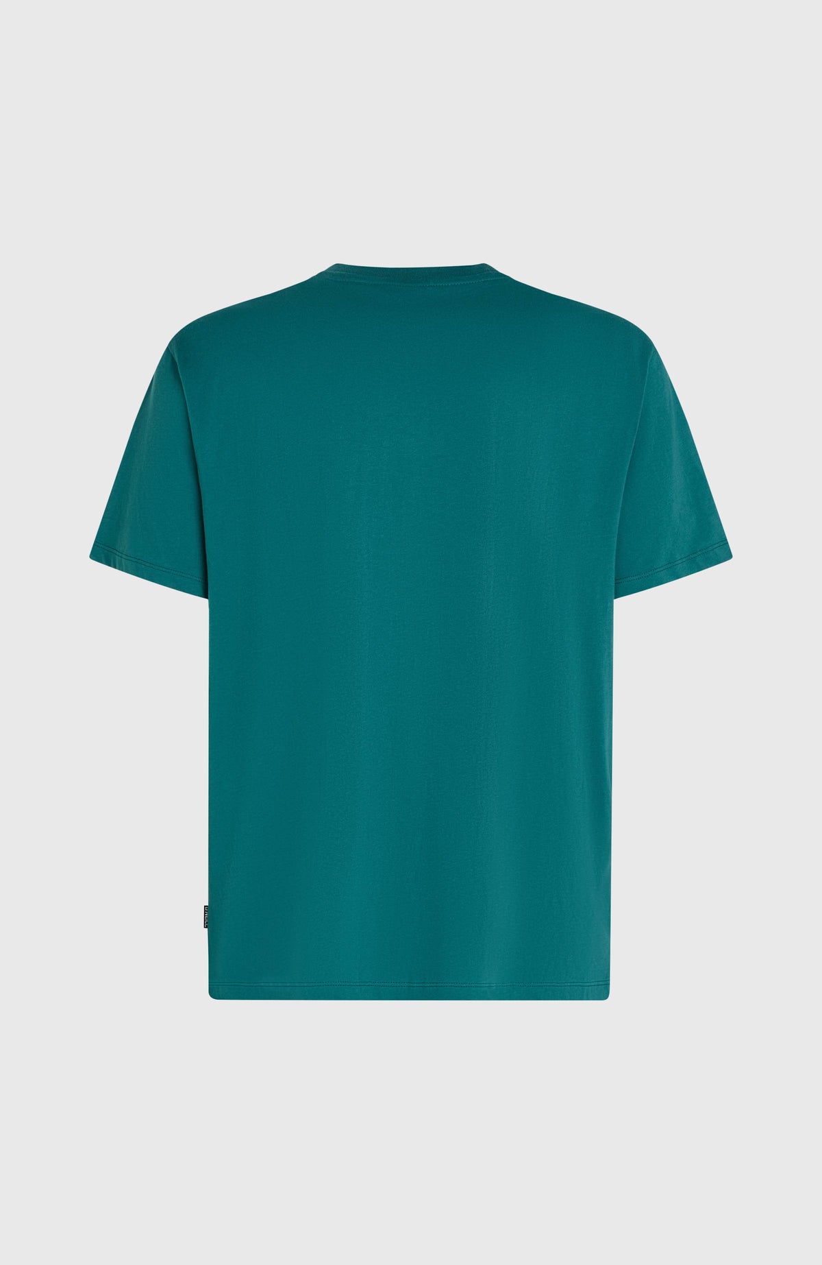 Must-Have Graphic T-Shirt für Herren, grün mit Grafik-Print in Mint, freigestellt von hinten mit Logo-Label