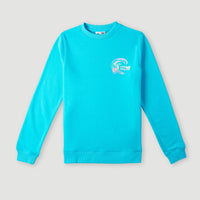 Circle Surfer Crew Sweatshirt | Bachelor Button