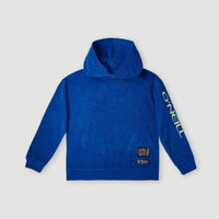 Brights Terry Kapuzenpullover | Princess Blue