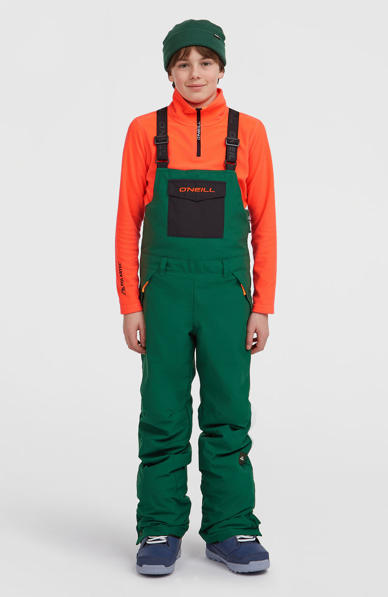 FWC'Cruz Bib Skihose | Emerald Envy Colour Block