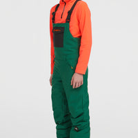 FWC'Cruz Bib Skihose | Emerald Envy Colour Block