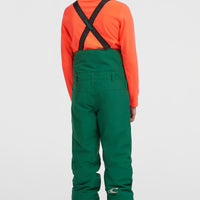 FWC'Cruz Bib Skihose | Emerald Envy Colour Block