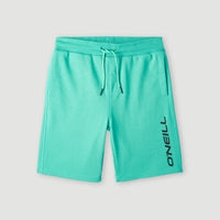 O'Neill Jogging-Shorts | Sea Green