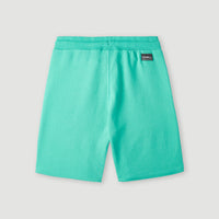 O'Neill Jogging-Shorts | Sea Green