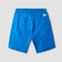 Surf State Jogging- Shorts | Princess Blue