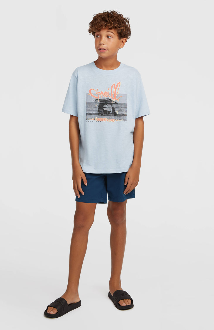 Chino-Shorts | English Evening