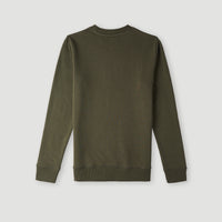 O'Neill Crew Sweatshirt | Forest Night