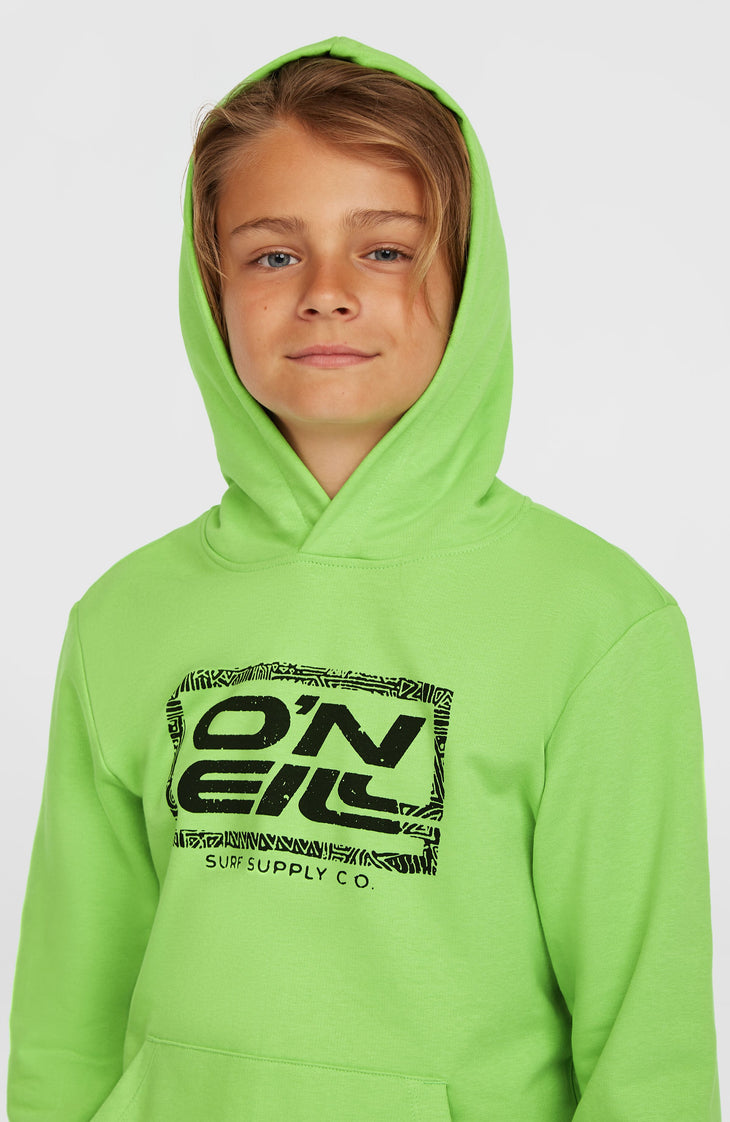 Logo Hoodie | Paradise Valley