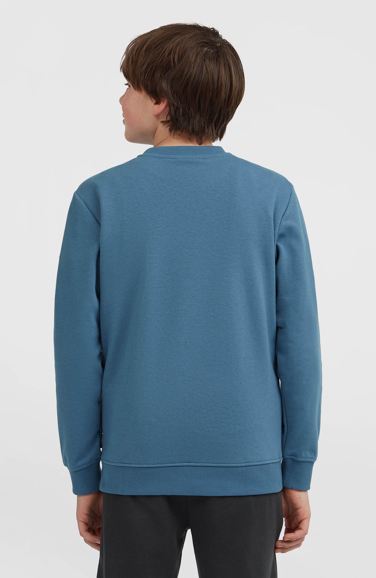 Essentials Crew Sweatshirt für Jungen, blau mit Logo-Stickerei in Weiß, Rückansicht, am Model