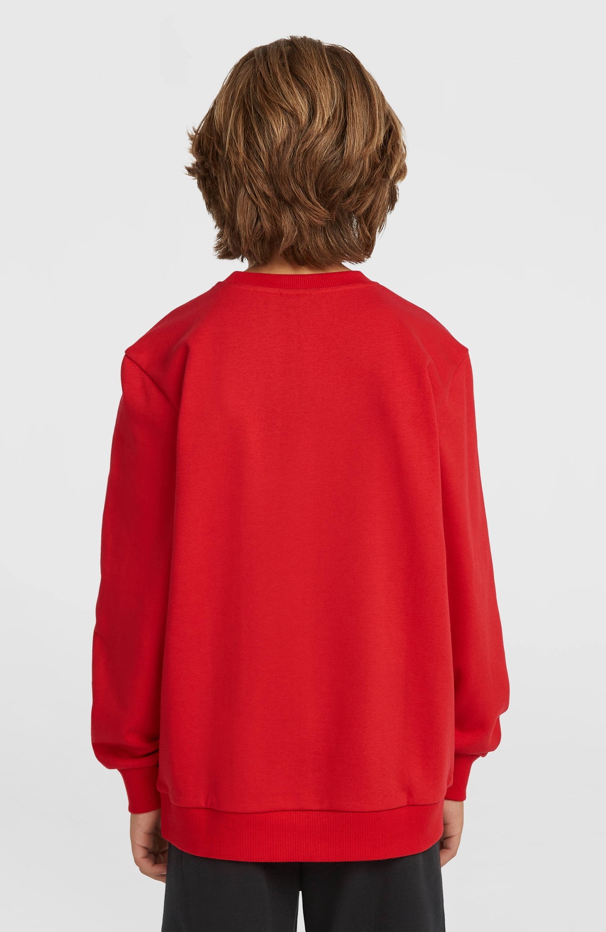 Cali Crew Sweatshirt für Jungen, rot, getragen am Model von hinten