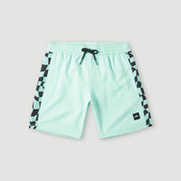 Cali Panel 14'' Badehose | Beach Glass Colour Block