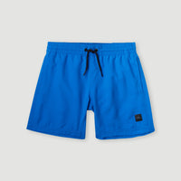 Cali Hybrid 13'' Badehose | Princess Blue