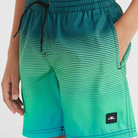 Jack O'Neill Cali Gradient 14'' Badehose | Beetle Juice Simple Gradient Panel