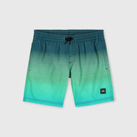 Jack O'Neill Cali Gradient 14'' Badehose | Beetle Juice Simple Gradient Panel