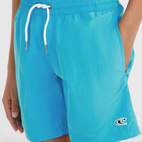 Vert 14'' Badehose | Neon Blue