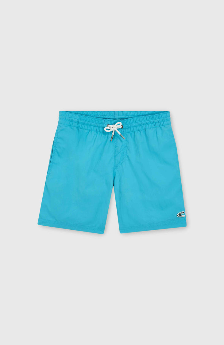 Vert 14'' Badehose | Neon Blue