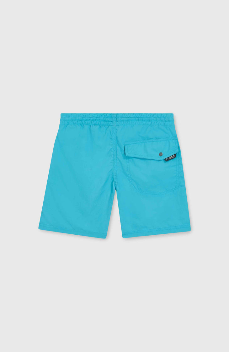 Vert 14'' Badehose | Neon Blue