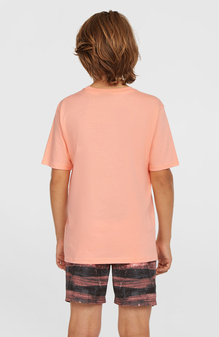 Cali Gradient 14'' Badehose | Coral Melted Texture