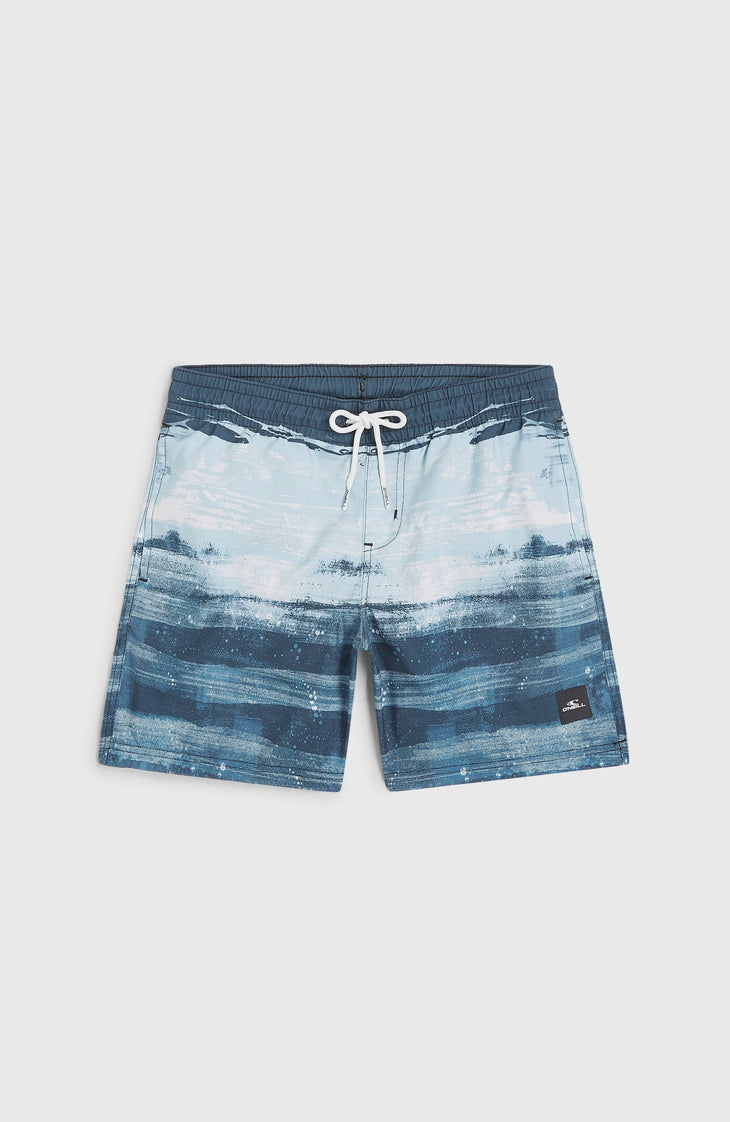 Cali Gradient 14'' Badehose | Blue Melted Stripe Boys
