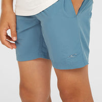 Vert 14'' Badehose | Copen Blue