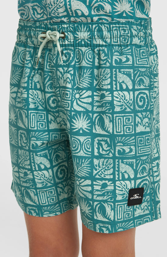 O'Neill Print Badehose | Blue Bricks