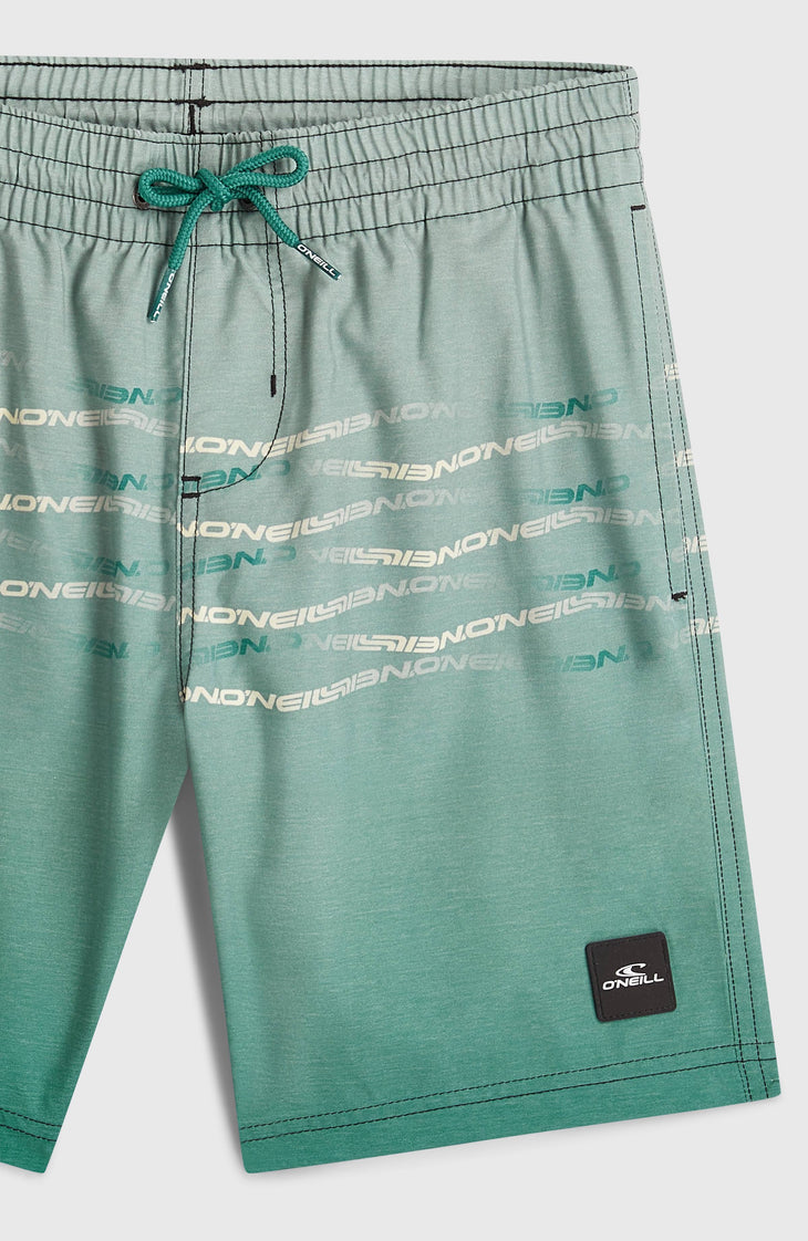 O'Neill First Badehose | Boys Green Heritage Flip