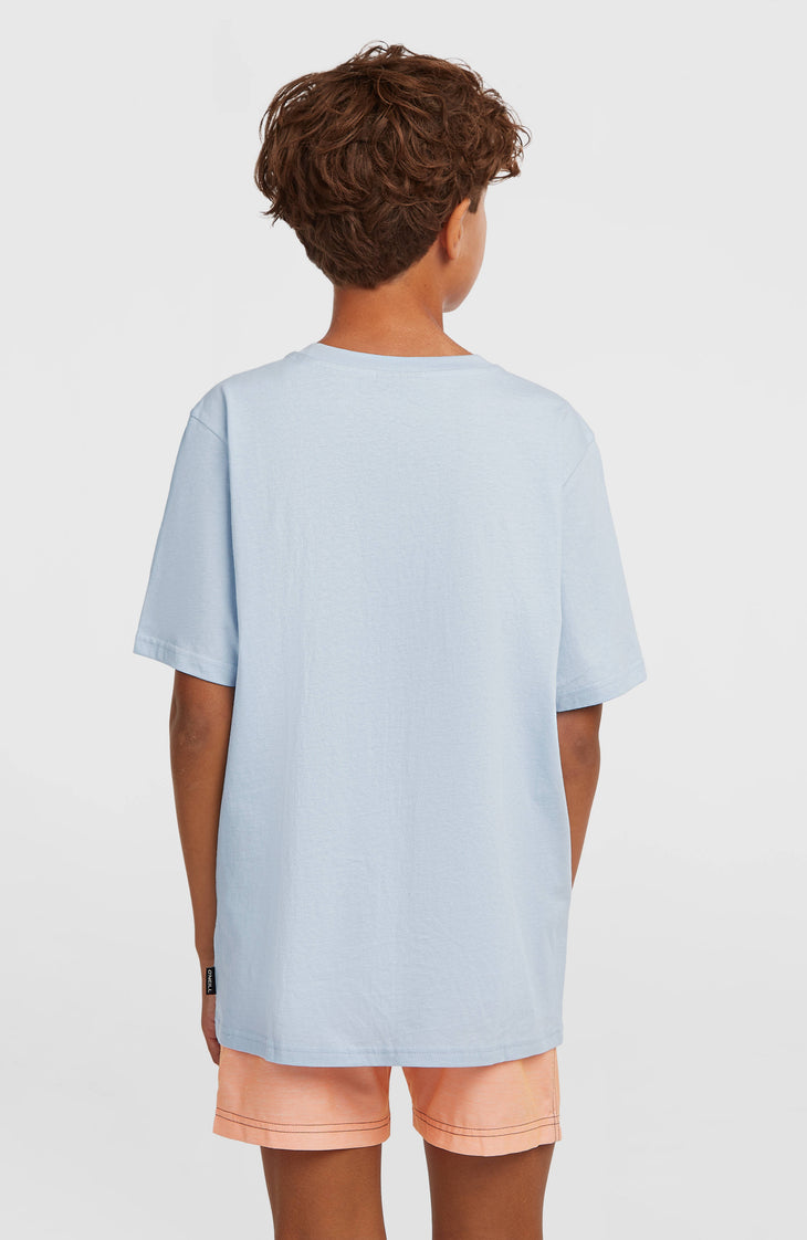 O'Neill Logo Stripe Badehose | Boys Purple Heritage O'Neill