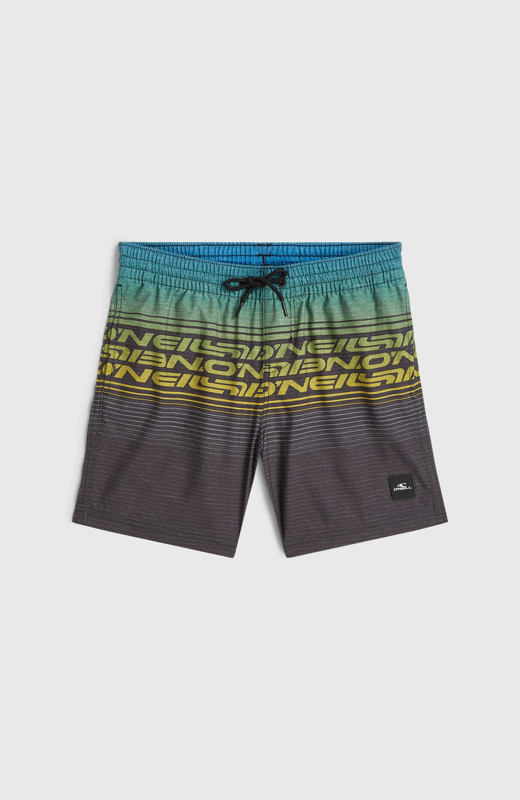 O'Neill Logo Stripe Badehose | Boys Blue Heritage O'Neill