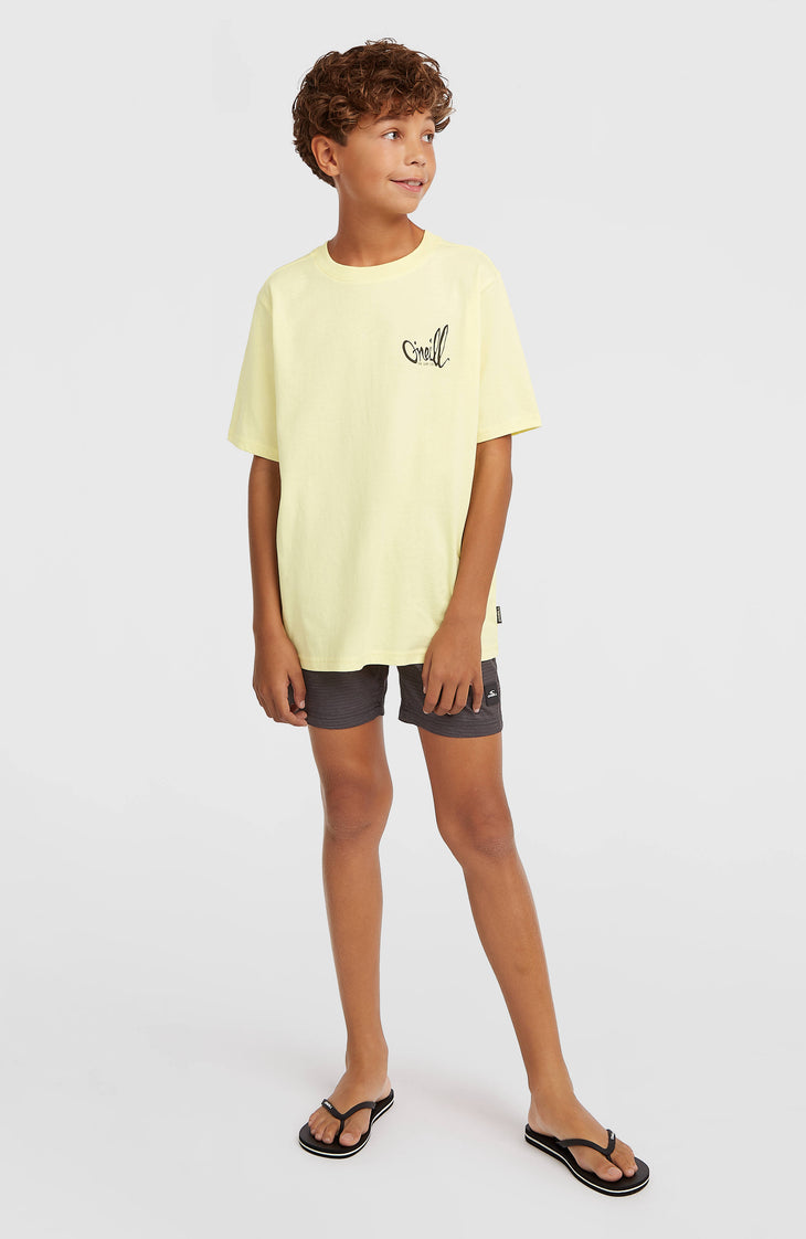 O'Neill Logo Stripe Badehose | Boys Blue Heritage O'Neill