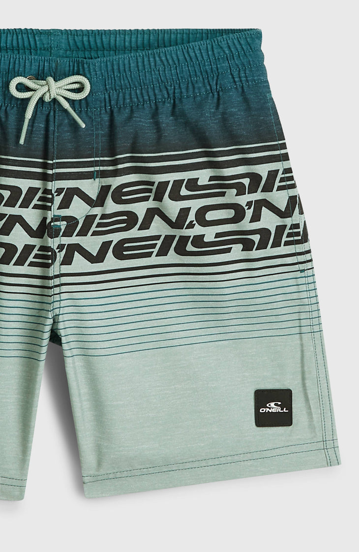 O'Neill Logo Stripe Badehose | Boys Green Heritage O'Neill