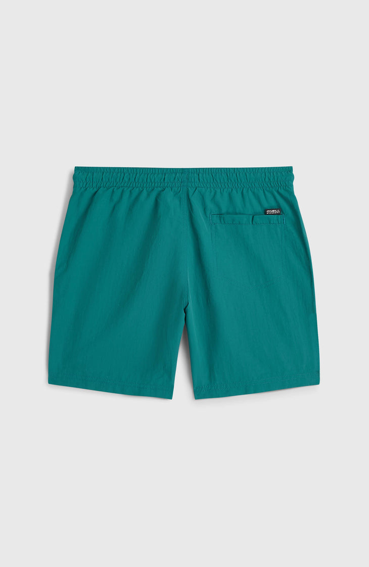 O'Neill Vert Badehose | Botanical Heat