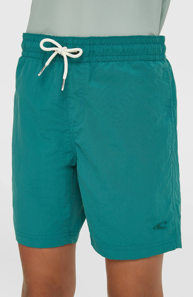 O'Neill Vert Badehose | Botanical Heat