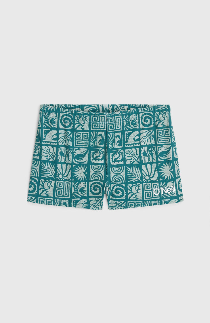 O'Neill Print Racer Badehose | Blue Bricks