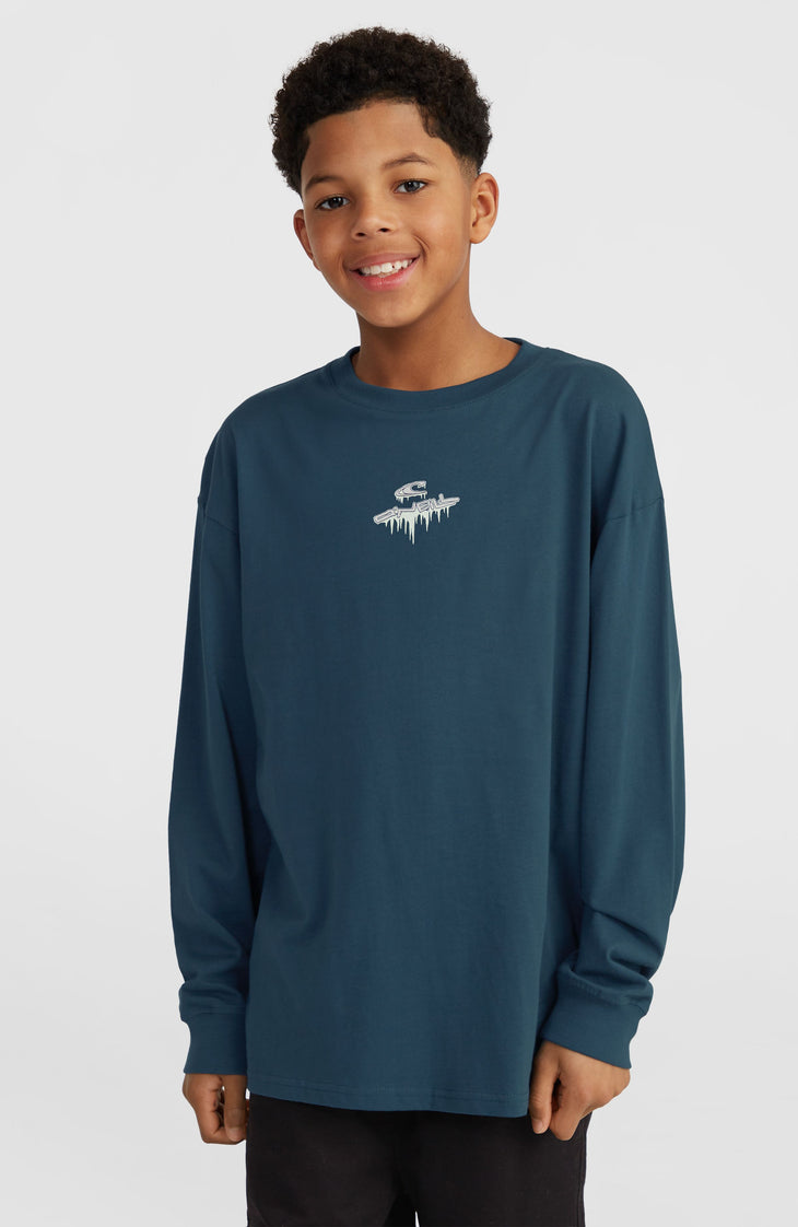 Graphic Langarmshirt | Alma Steel