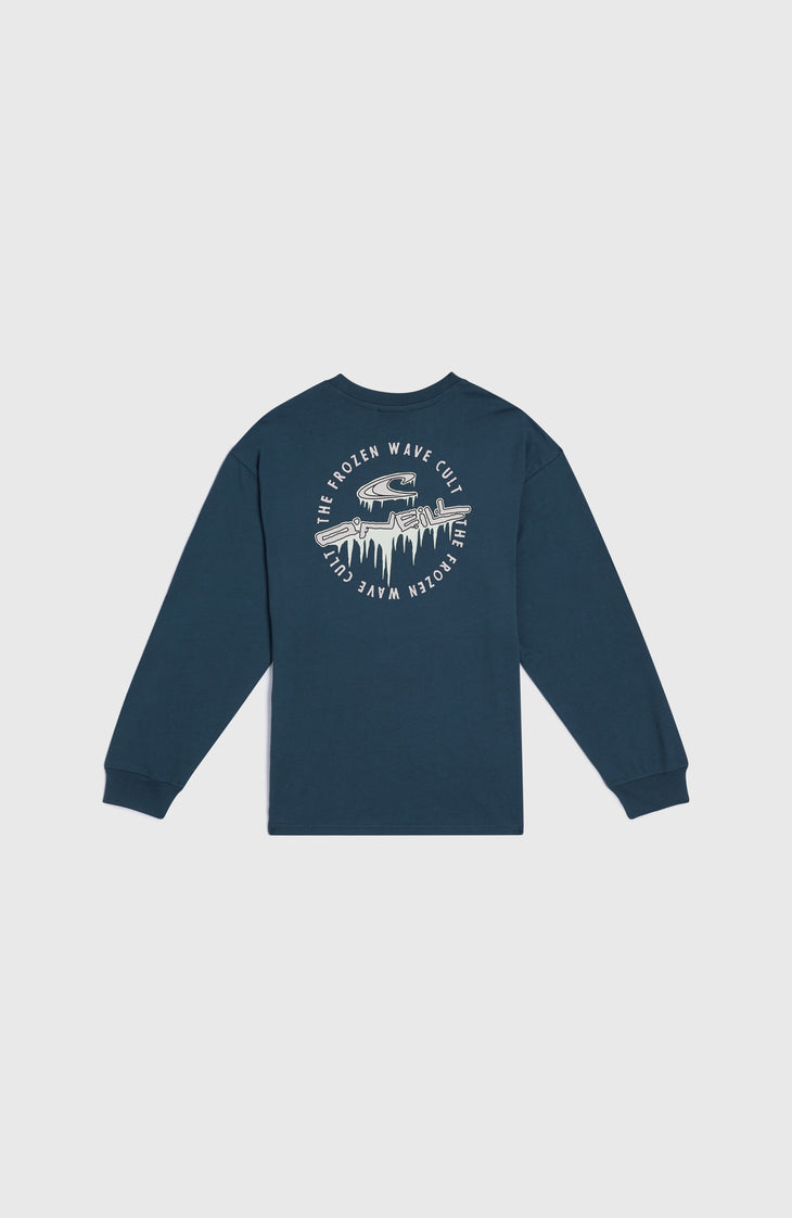 Graphic Langarmshirt | Alma Steel