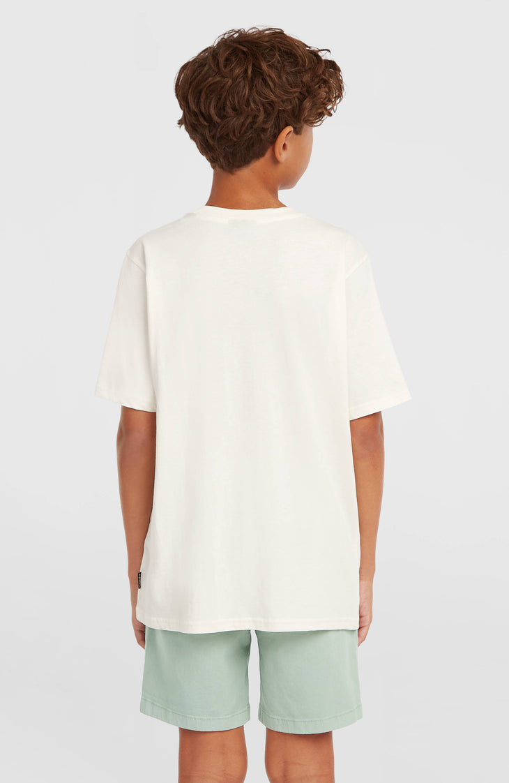 O'Neill Logo Stripe T-Shirt | Snow White