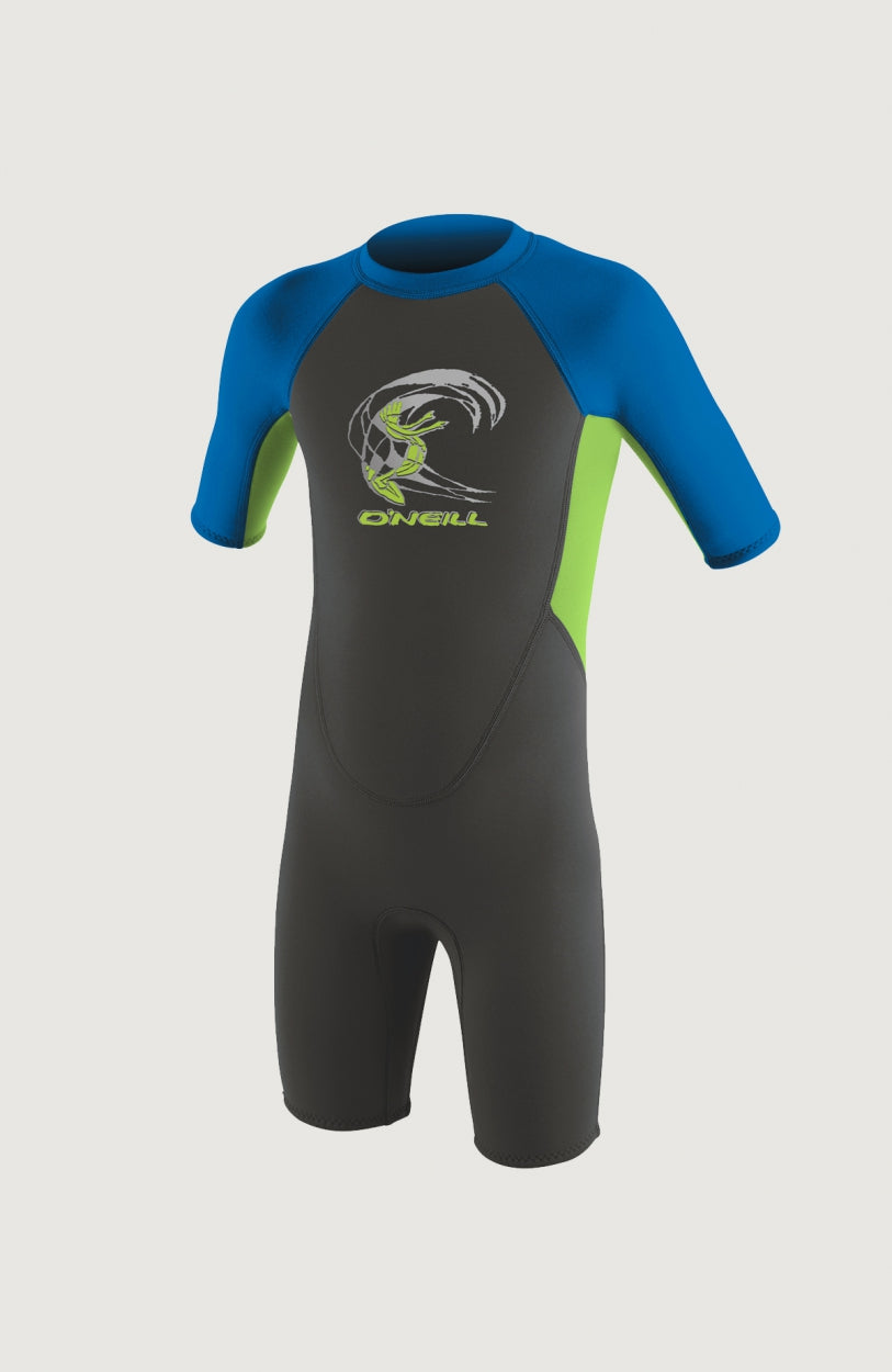 O'Neill Reactor-2 2mm Back Zip Shortsleeve Spring Wetsuit für Jungen, grau mit Logo-Print in Grün, freigestellt von vorne