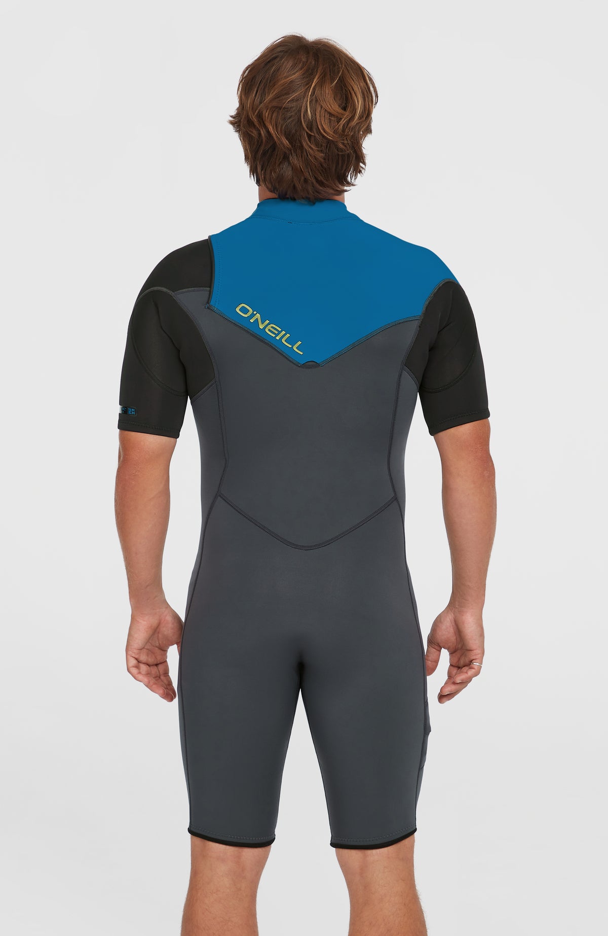 Hammer 2mm Neoprenanzug für Herren, grau, Rückansicht am Model, blaues Rückenpanel mit Logo-Print