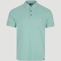 O'Neill Poloshirt mit kleinem Logo | Aquifer