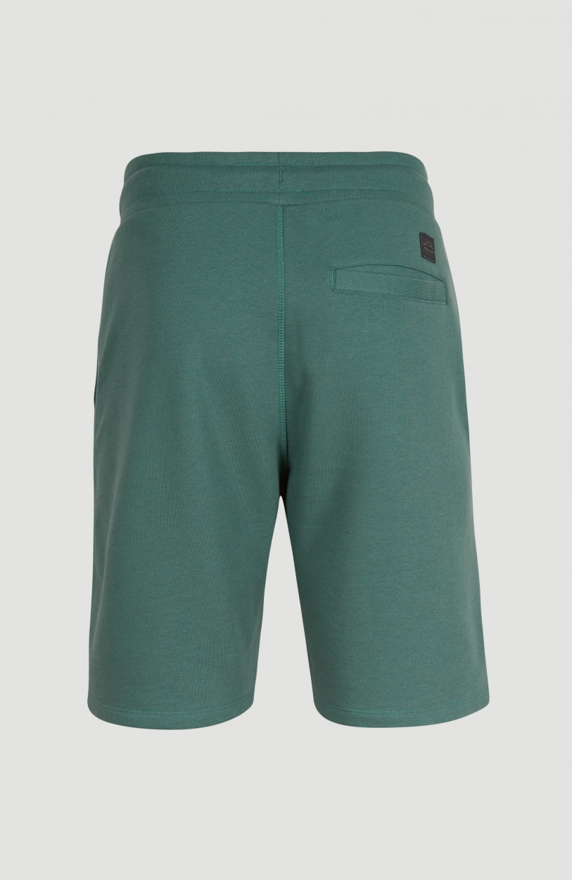 O'Neill Logo Sweatshorts | Sea Pine