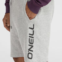 O'Neill Logo Sweatshorts | Silver Melee -A