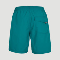 Vert 16'' Badehose | Blue Coral