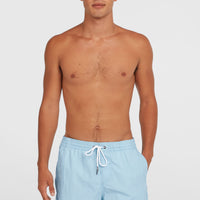 Vert 16'' Badehose | Blue Topaz