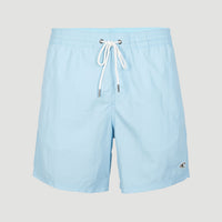 Vert 16'' Badehose | Blue Topaz