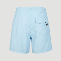 Vert 16'' Badehose | Blue Topaz