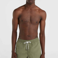 Vert 16'' Badehose | Deep Lichen Green