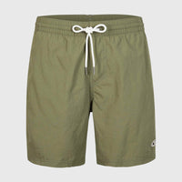 Vert 16'' Badehose | Deep Lichen Green