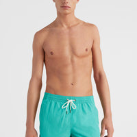 Vert 16'' Badehose | Sea Green